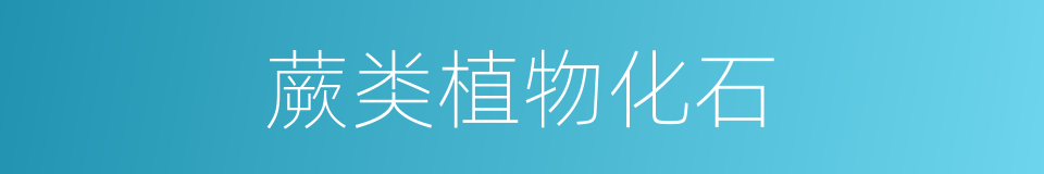 蕨类植物化石的同义词