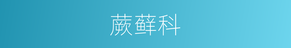 蕨藓科的同义词