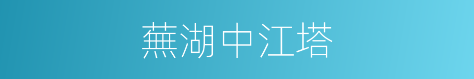 蕪湖中江塔的同義詞