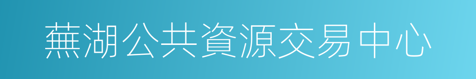 蕪湖公共資源交易中心的同義詞