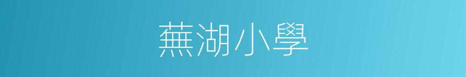 蕪湖小學的同義詞