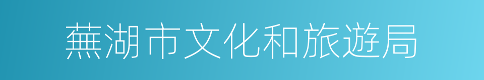 蕪湖市文化和旅遊局的同義詞
