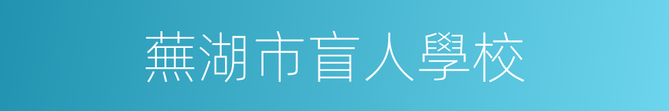 蕪湖市盲人學校的同義詞
