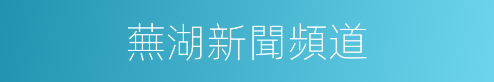 蕪湖新聞頻道的同義詞
