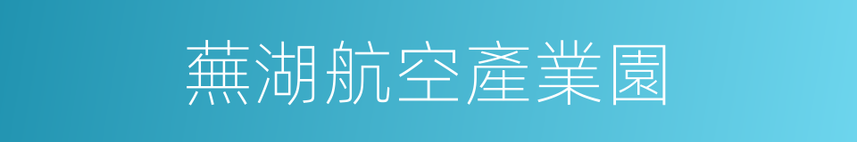 蕪湖航空產業園的同義詞