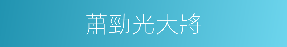 蕭勁光大將的同義詞