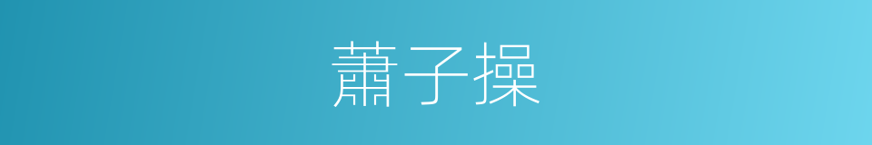 蕭子操的同義詞