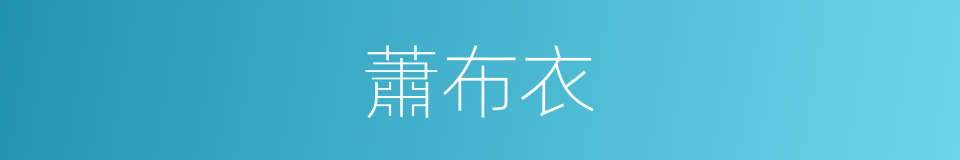 蕭布衣的同義詞