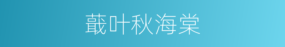 蕺叶秋海棠的同义词