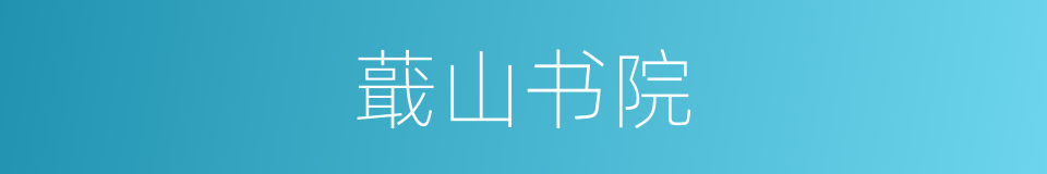 蕺山书院的同义词