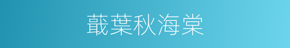 蕺葉秋海棠的同義詞