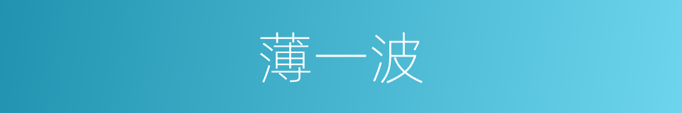 薄一波的同义词