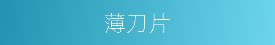 薄刀片的同义词