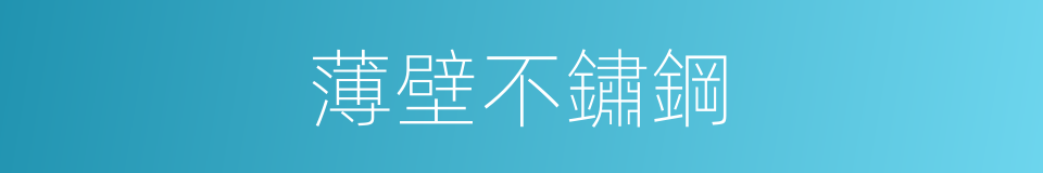 薄壁不鏽鋼的同義詞