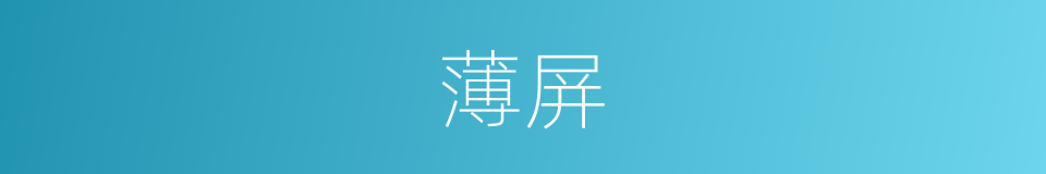 薄屏的同义词
