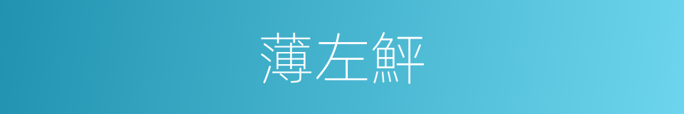 薄左鮃的同義詞