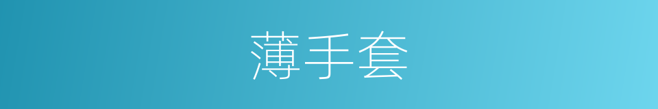 薄手套的同义词