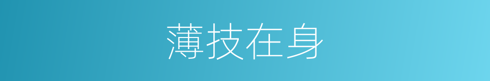 薄技在身的意思