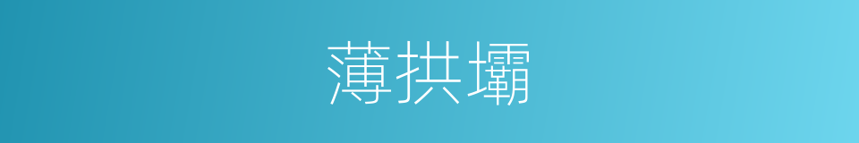 薄拱壩的同義詞