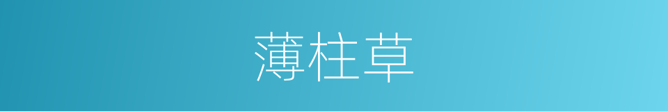 薄柱草的同义词