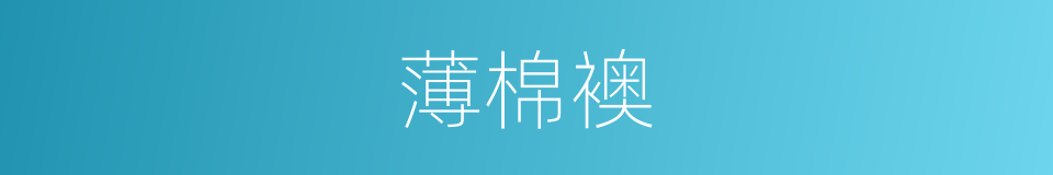 薄棉襖的同義詞