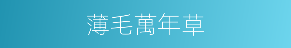 薄毛萬年草的同義詞