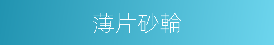 薄片砂輪的同義詞