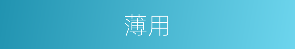 薄用的同义词