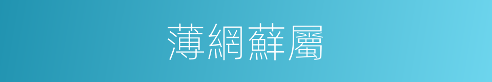 薄網蘚屬的意思