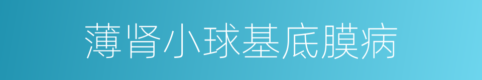 薄肾小球基底膜病的同义词