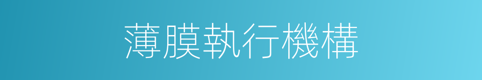 薄膜執行機構的同義詞