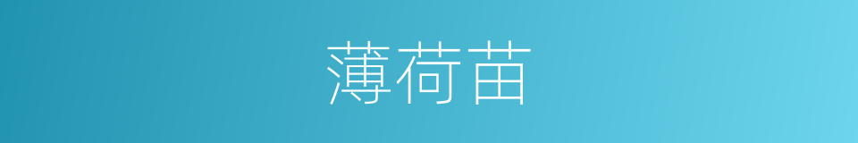 薄荷苗的同义词