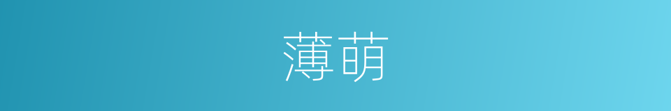 薄萌的同义词