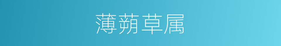 薄蒴草属的同义词