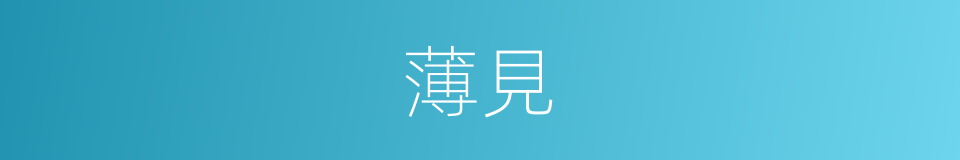 薄見的意思