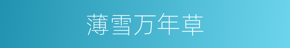 薄雪万年草的同义词