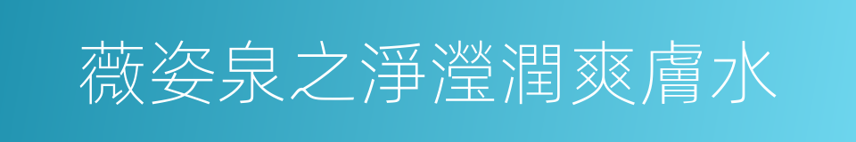 薇姿泉之淨瀅潤爽膚水的同義詞