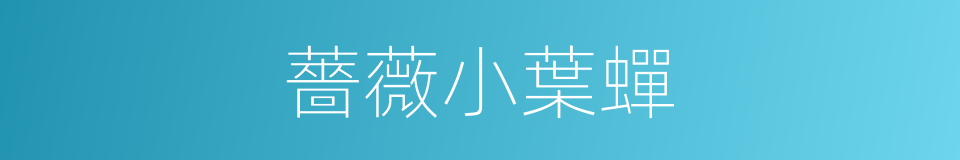 薔薇小葉蟬的同義詞