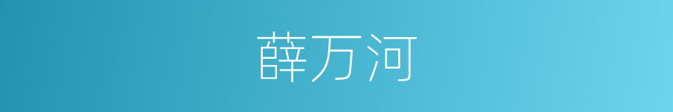 薛万河的同义词