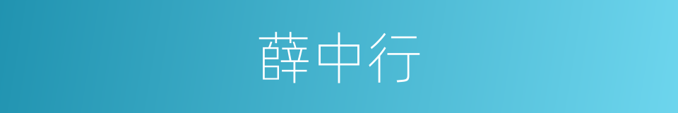 薛中行的同义词