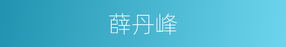 薛丹峰的同义词