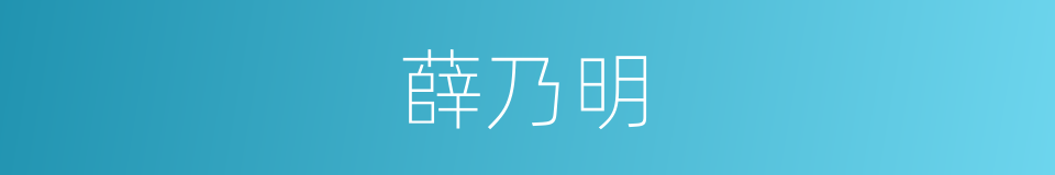 薛乃明的同义词