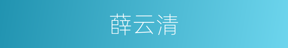 薛云清的同义词