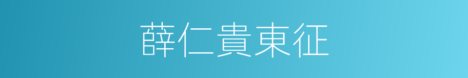 薛仁貴東征的同義詞