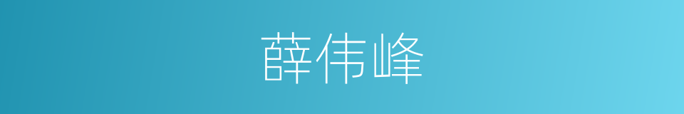 薛伟峰的同义词