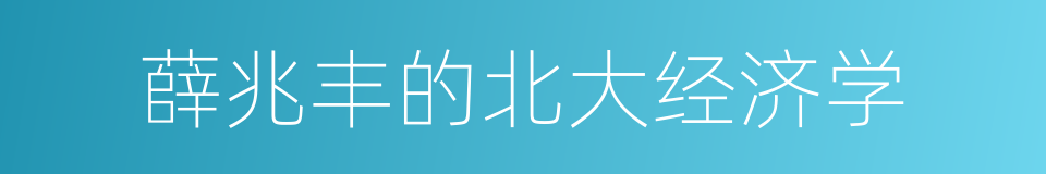 薛兆丰的北大经济学的同义词