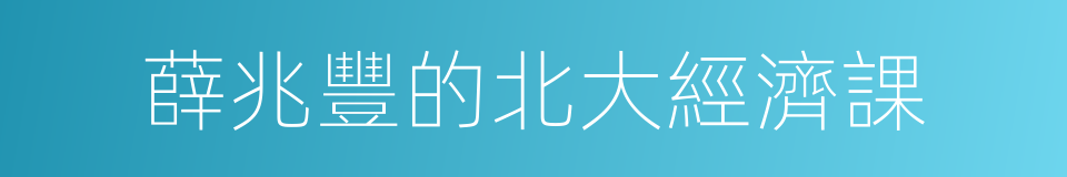 薛兆豐的北大經濟課的同義詞