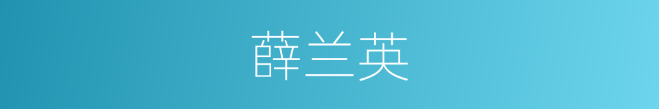 薛兰英的同义词