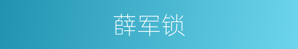 薛军锁的同义词