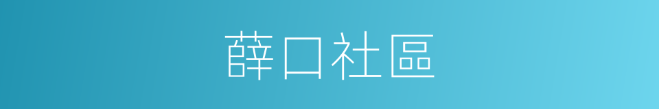 薛口社區的同義詞